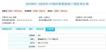 實拍 賈躍亭造車圈地的跨國軌跡